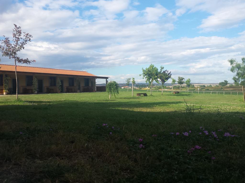 Agriturismo San Matteo Tarquinia Rum bild