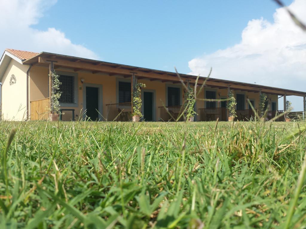 Agriturismo San Matteo Tarquinia Rum bild