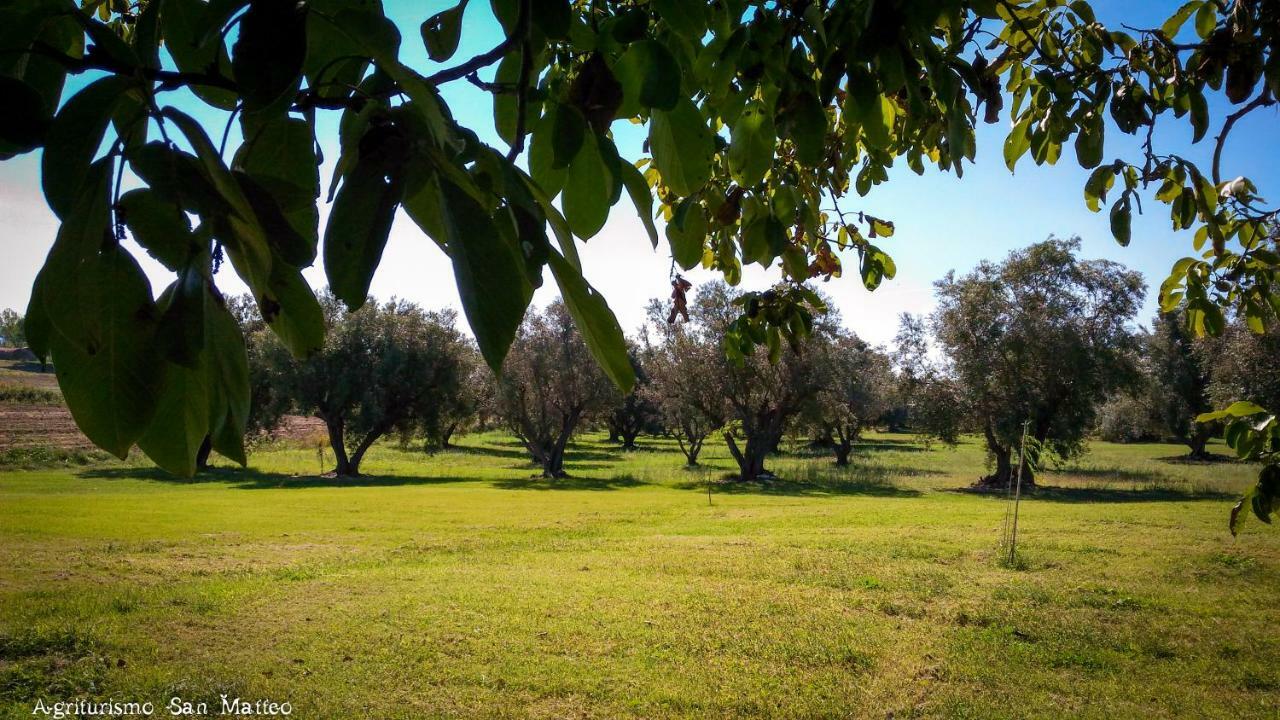 Agriturismo San Matteo Tarquinia Exteriör bild