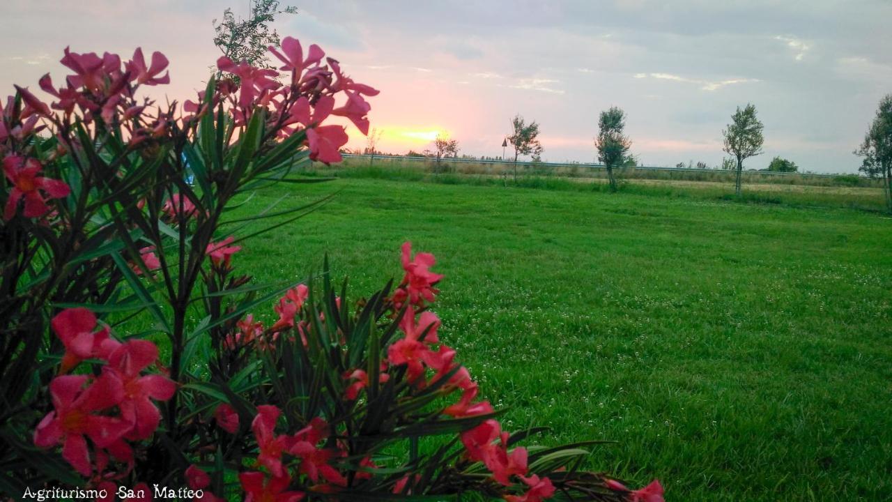Agriturismo San Matteo Tarquinia Exteriör bild